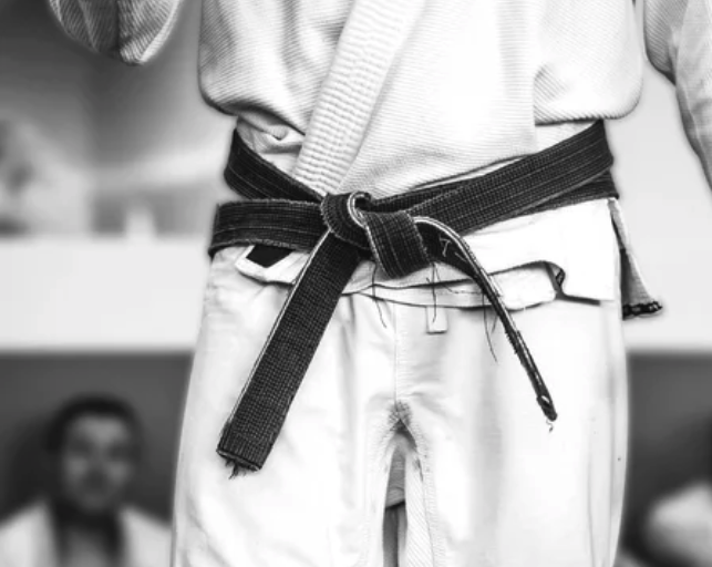 maestro di karate sensei