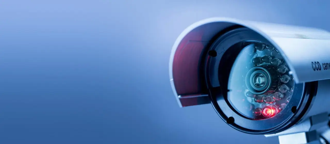 Telecamere domestiche: sanzioni severe per chi non rispetta la privacy dei vicini Immagine selezionata