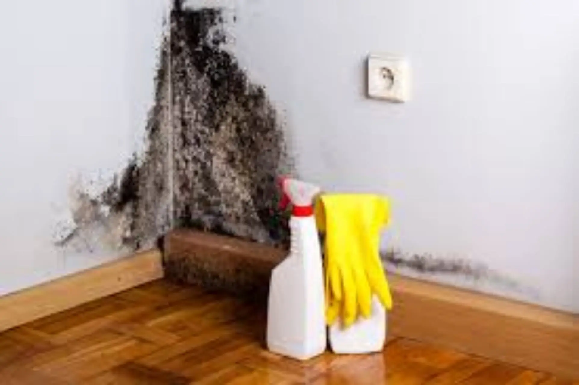 Cinque oggetti che puoi igienizzare usando l’aceto di mele Immagine selezionata