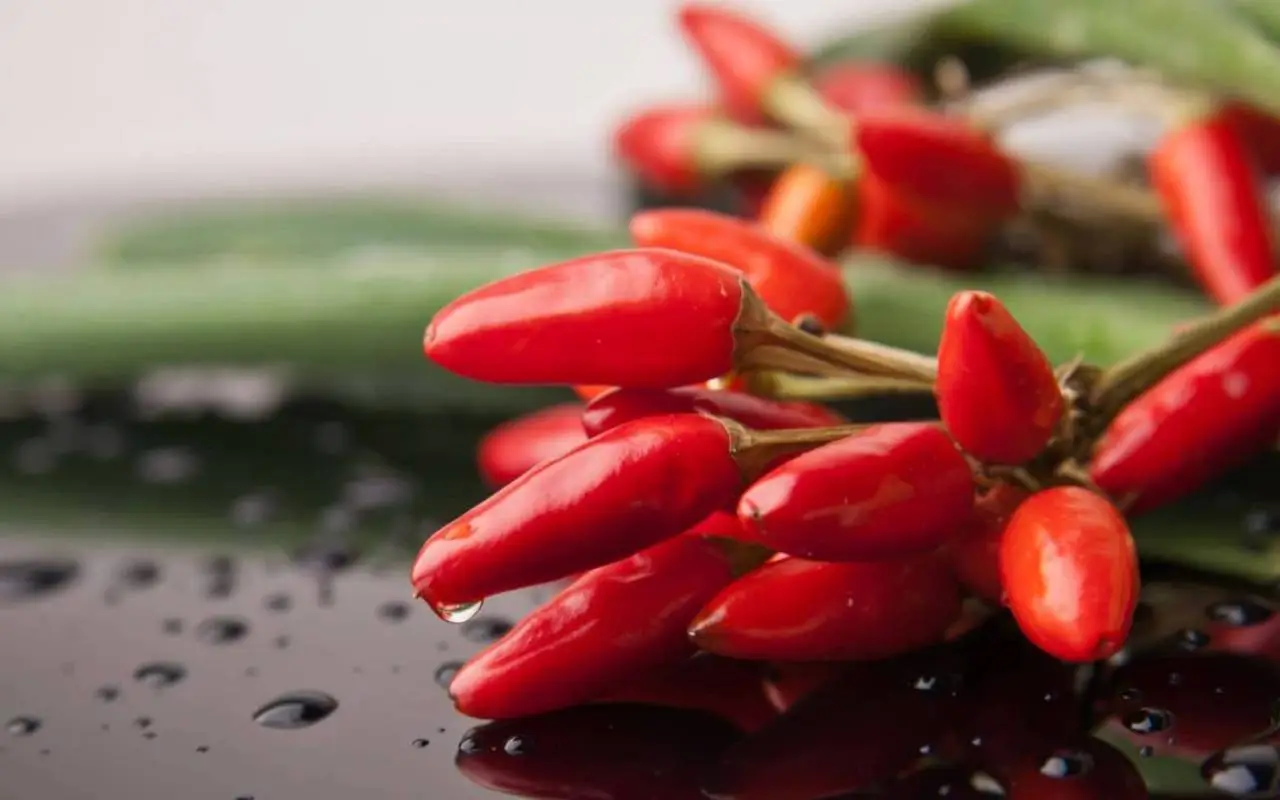 Il momento migliore per piantare il peperoncino: ecco qual è il periodo ideale