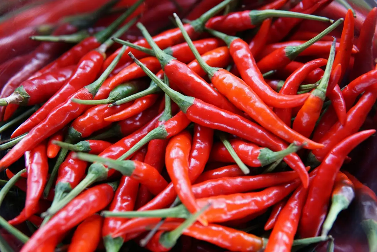 Il momento migliore per piantare il peperoncino: ecco qual è il periodo ideale Il momento migliore per piantare il peperoncino: ecco qual è il periodo ideale