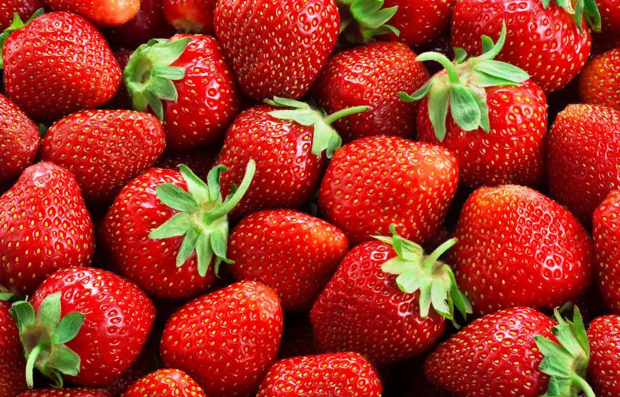 Come conservare le fragole nel modo giusto secondo gli esperti