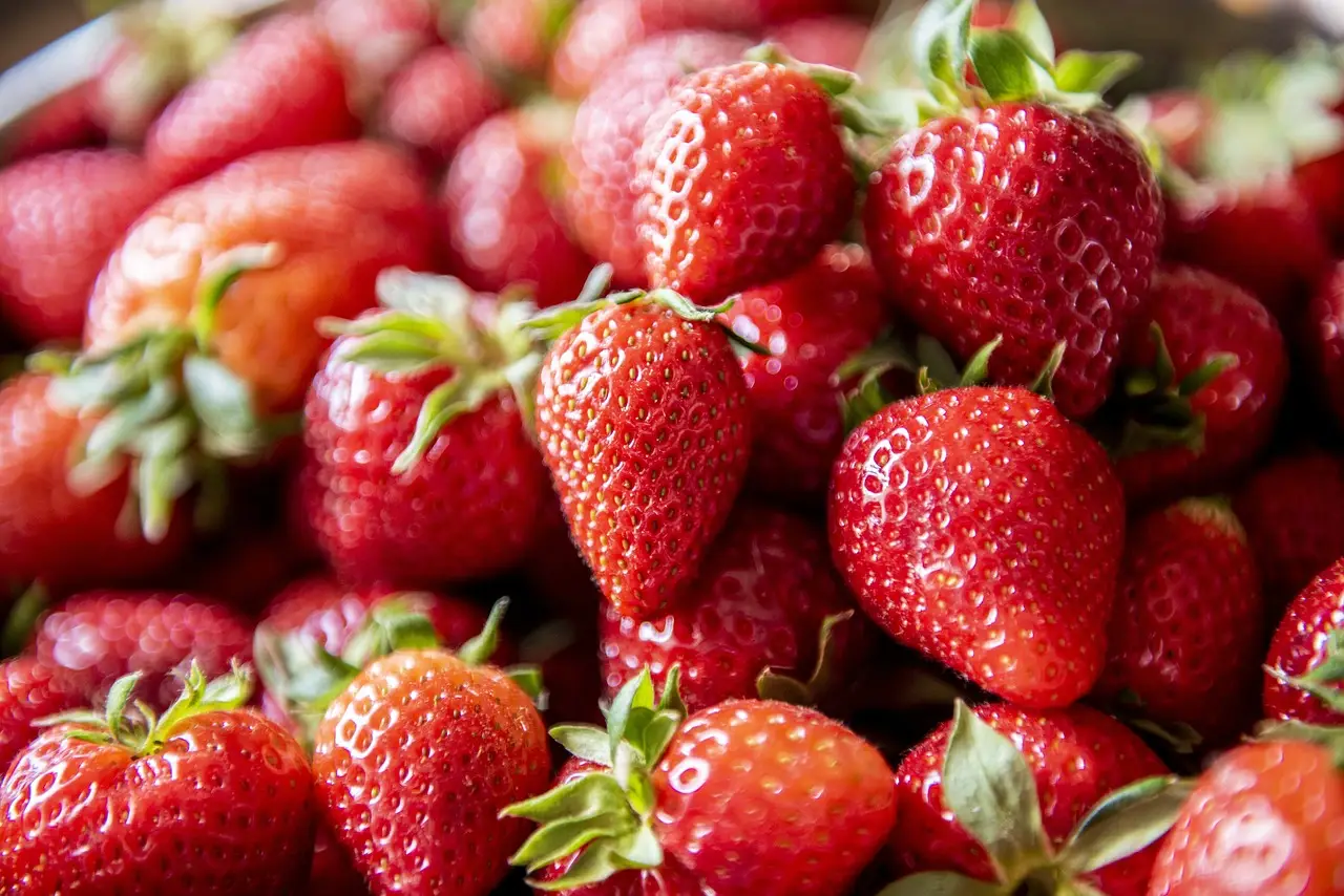 Come conservare le fragole nel modo giusto secondo gli esperti Come conservare le fragole nel modo giusto secondo gli esperti