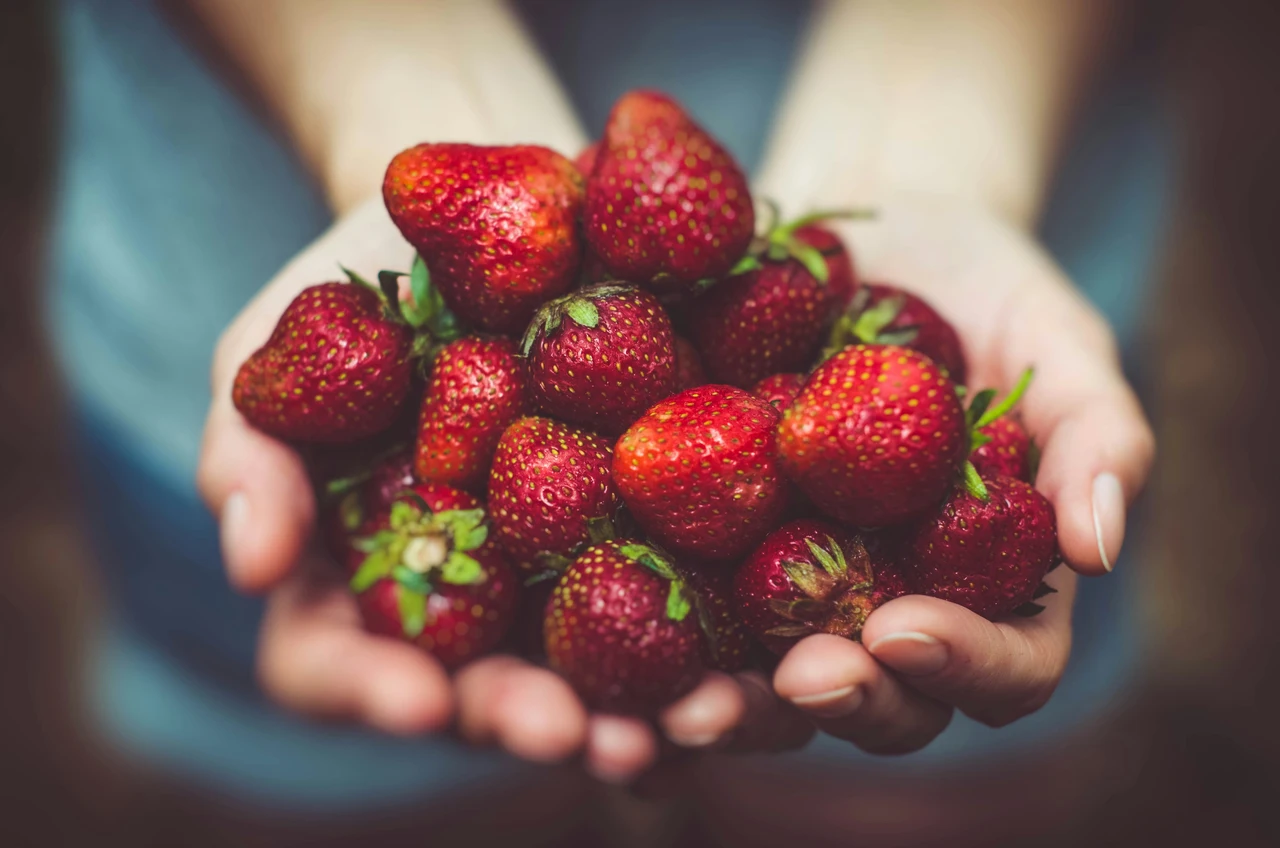 Come conservare le fragole nel modo giusto secondo gli esperti Come conservare le fragole nel modo giusto secondo gli esperti