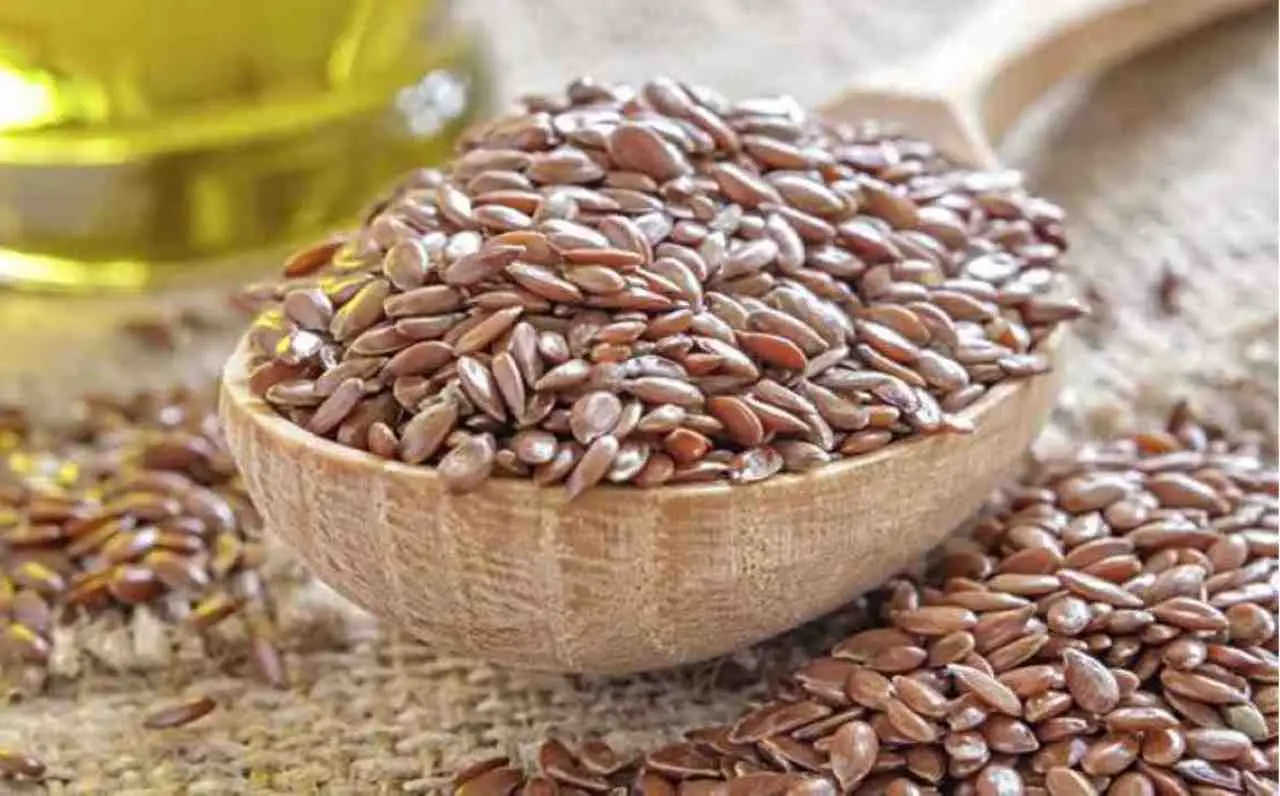 Semi di lino, alleati naturali per la salute dell’intestino